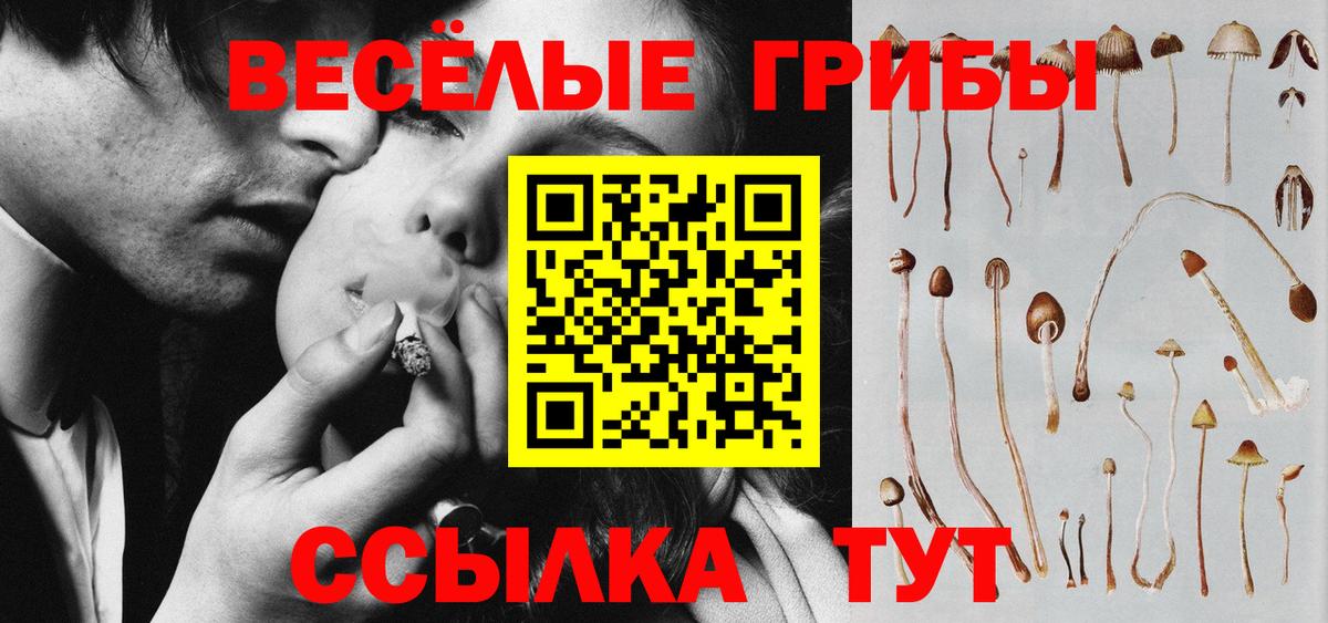 Керчь  Псилоцибиновые грибы GOLDEN TEACHER  Вход с VPN  Галлюциногенные грибы MAGIC MUSHROOMS 